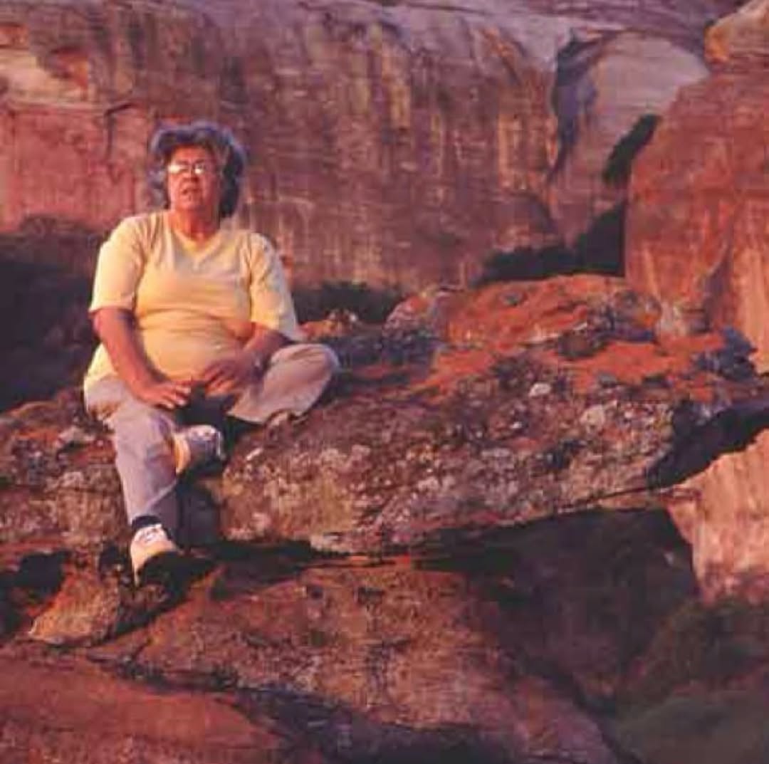 As muitas vidas de Niède Guidon