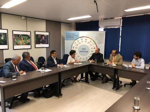 Vice-governadora Regina Sousa se reúne com representante da FAO