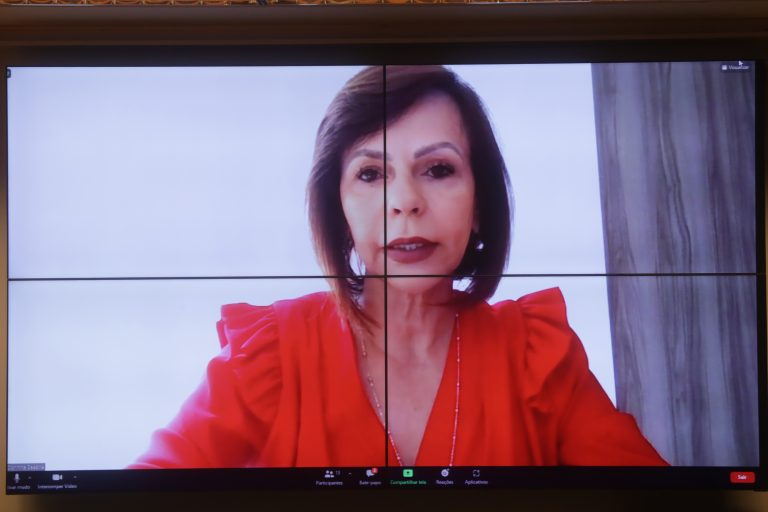 Audiência Pública - Educação a Distância no Ensino Superior. Dep. Professora Dorinha Seabra Rezende DEM - TO