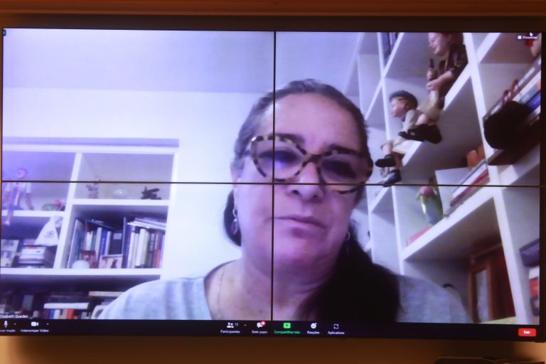 Audiência Pública - Educação a Distância no Ensino Superior. Presidente da Associação Nacional das Universidades Particulares - ANUP, Elizabeth Guedes
