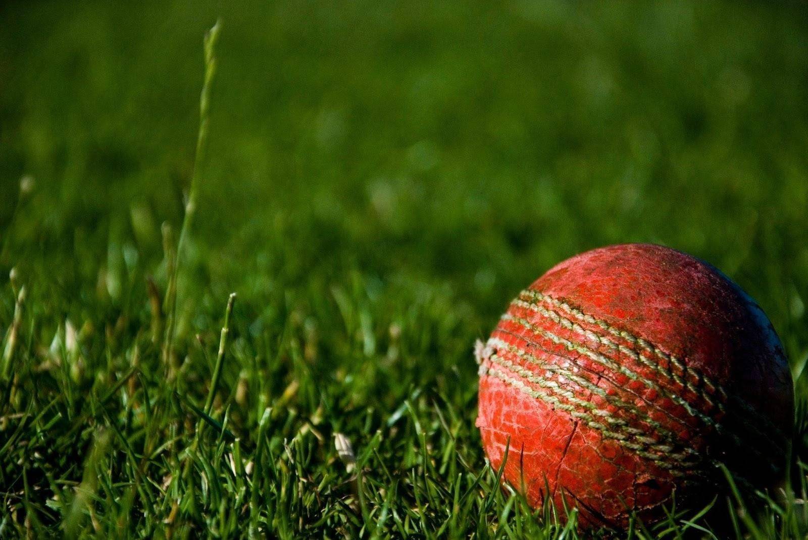 Bola de críquete (cricket) vermelha sobre gramado verde, close-up em campo esportivo ao ar livre