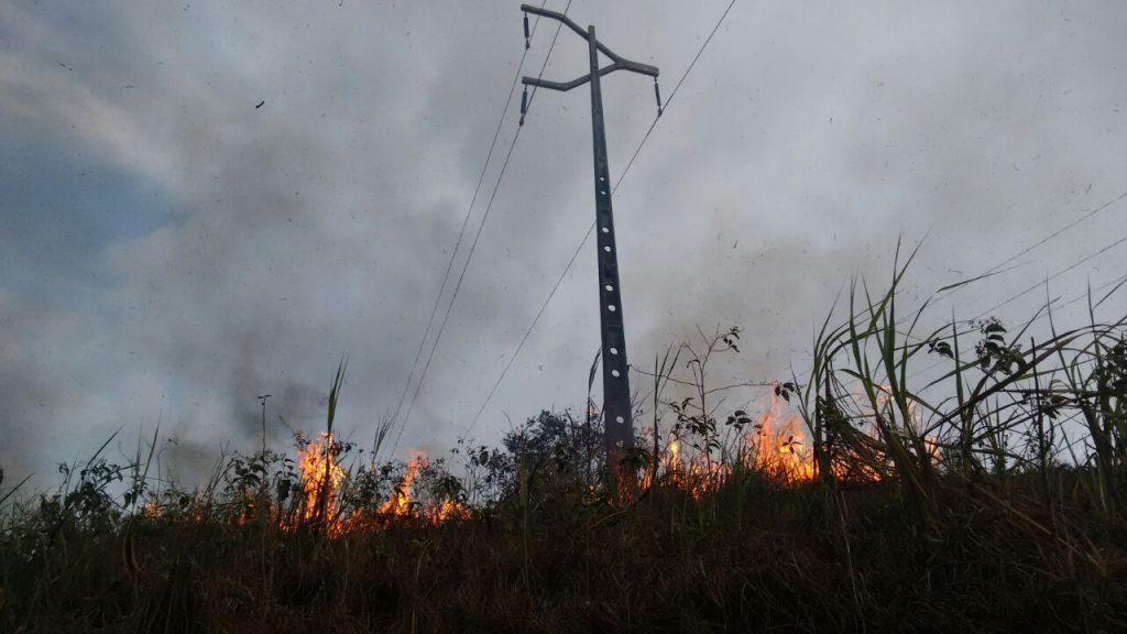 Fogo