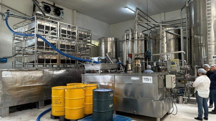 Produção de Mel no Piauí