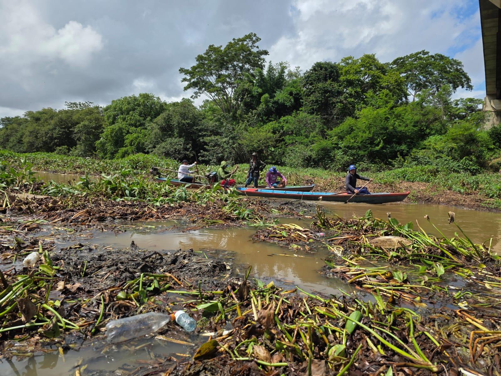 Pescadores se uniram para retirar aguapés acumulados