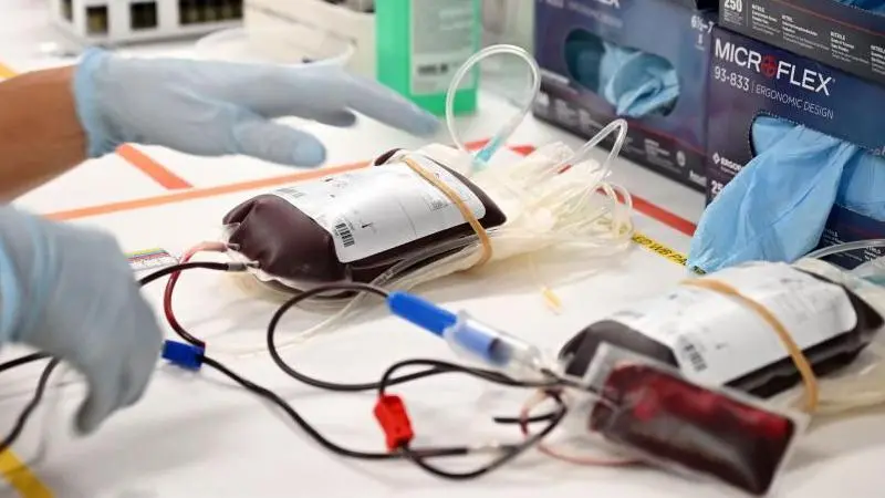 Testemunham de Jeová continuam proibidos de receber sangue de outras pessoa