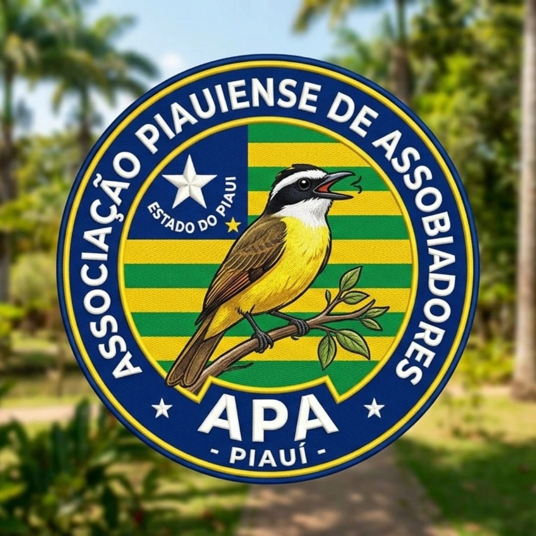 Estudante cria grupo piauiense de 'assobiadores' e reune mais de mil pessoas