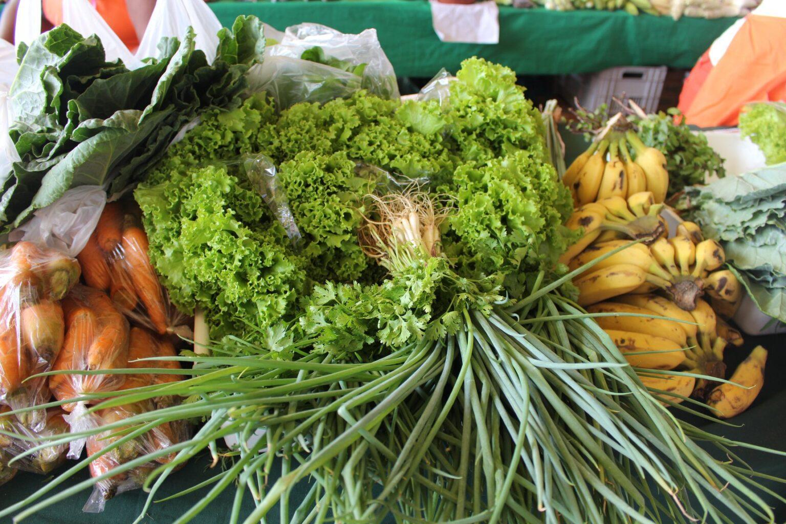 Programa de Alimentação Saudável