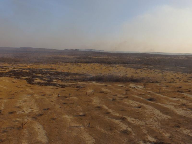 Área devastada pelo fogo em Pedro II
