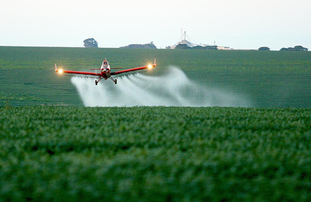 Pulverização aérea dizimou bilhões de abelhas no mundo