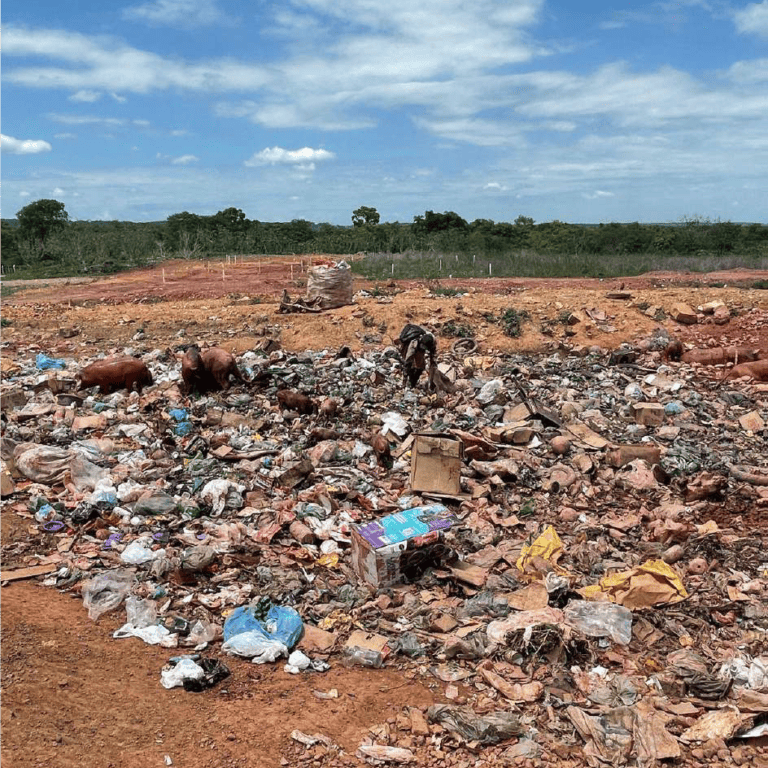 Lixões a céu aberto caracterizam crime ambiental
