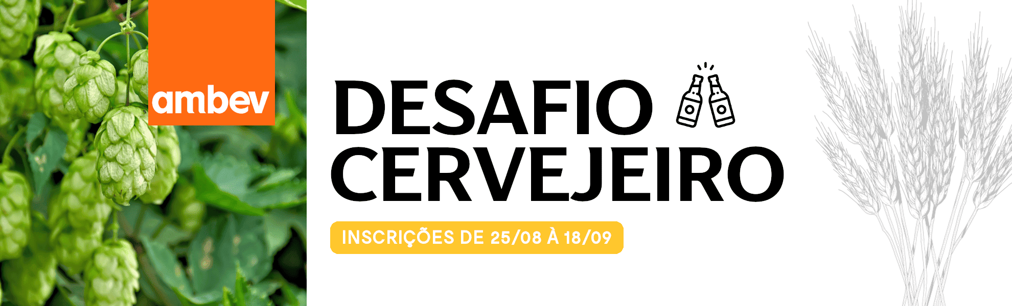 Desafio