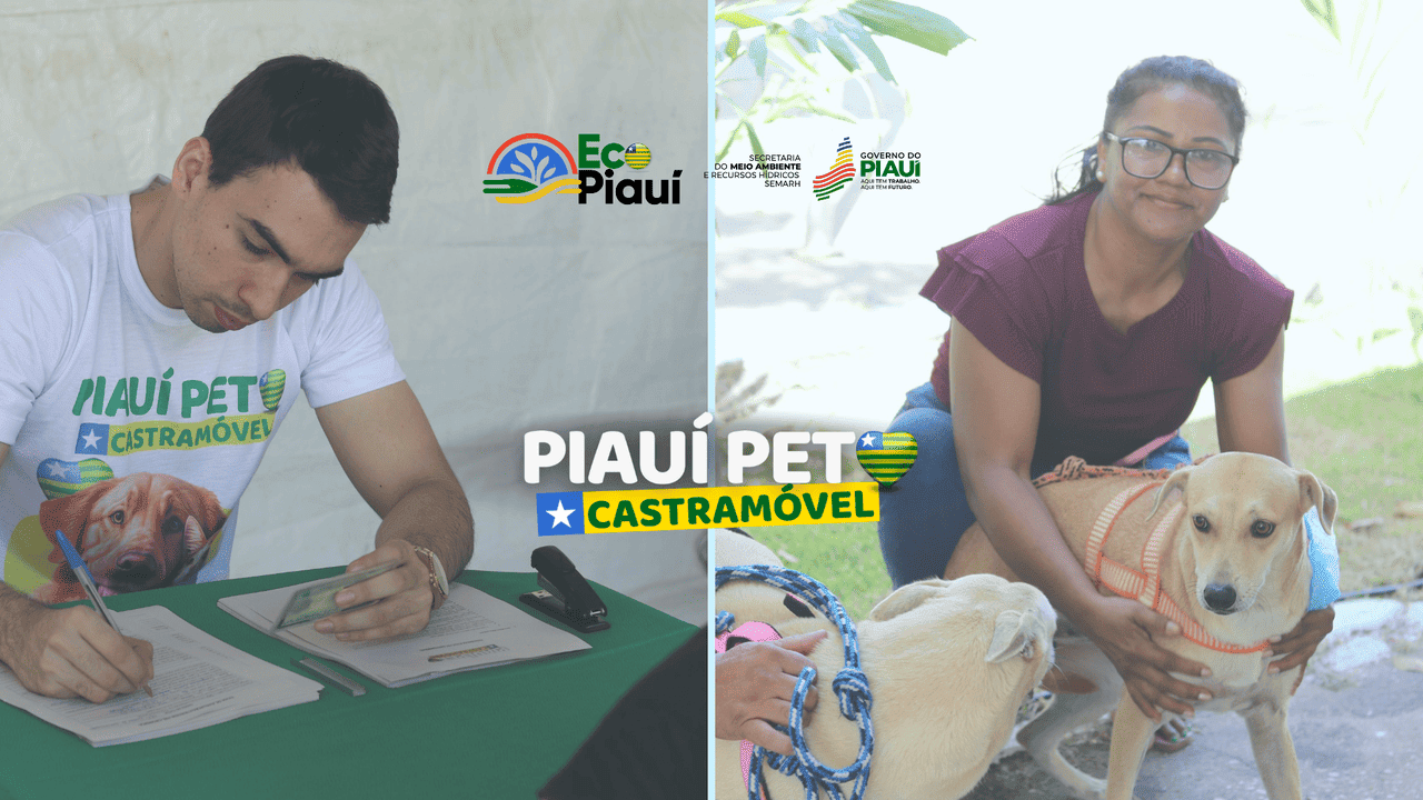 O projeto castramóvel tem participação da Fundação Cultural e de Fomento à Pesquisa, Ensino, Extensão e Inovação (Fadex) e da UFPI