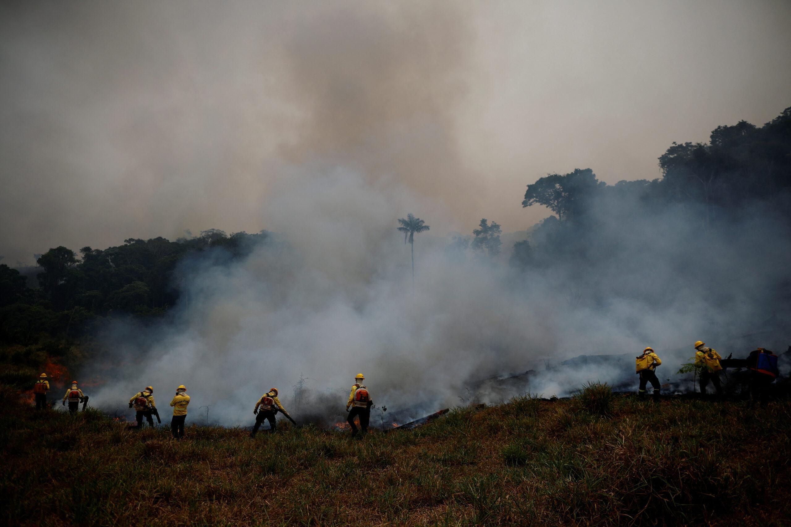 Brigadistas do IBAMA combatem fogo no Apuí, no Amazonas