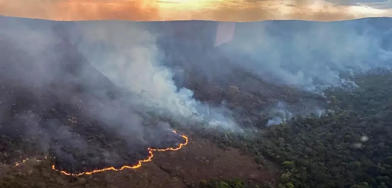 Brasil atinge níveis recordes de queimadas em 2024