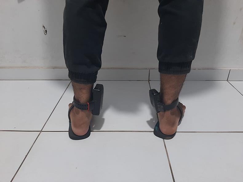 Reprodução
