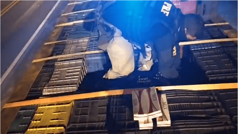 Carga de cigarros contrabandeados avaliada em mais de meio milhão de reais é apreendida pela PRF na BR 316