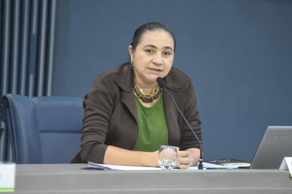 Vereadora Cida