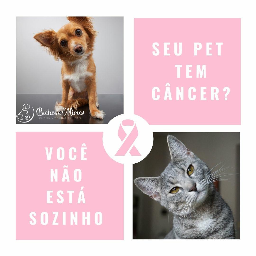 Câncer