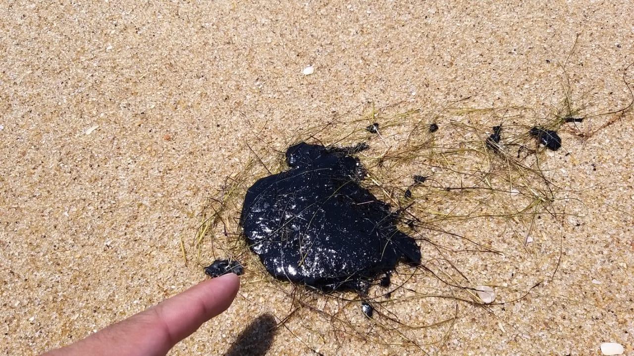 Óleo atinge o litoral piauiense