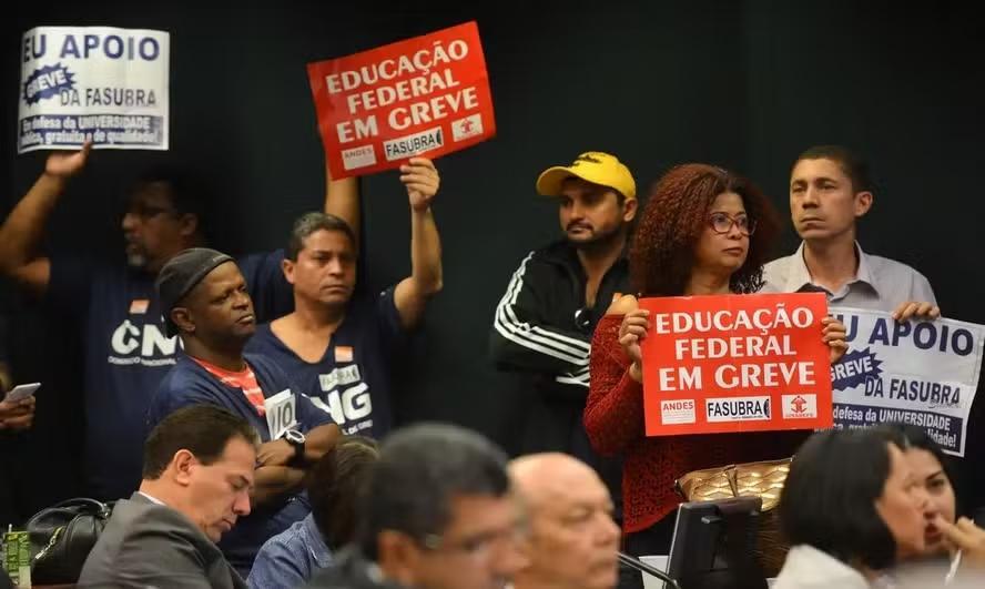 Divulgação