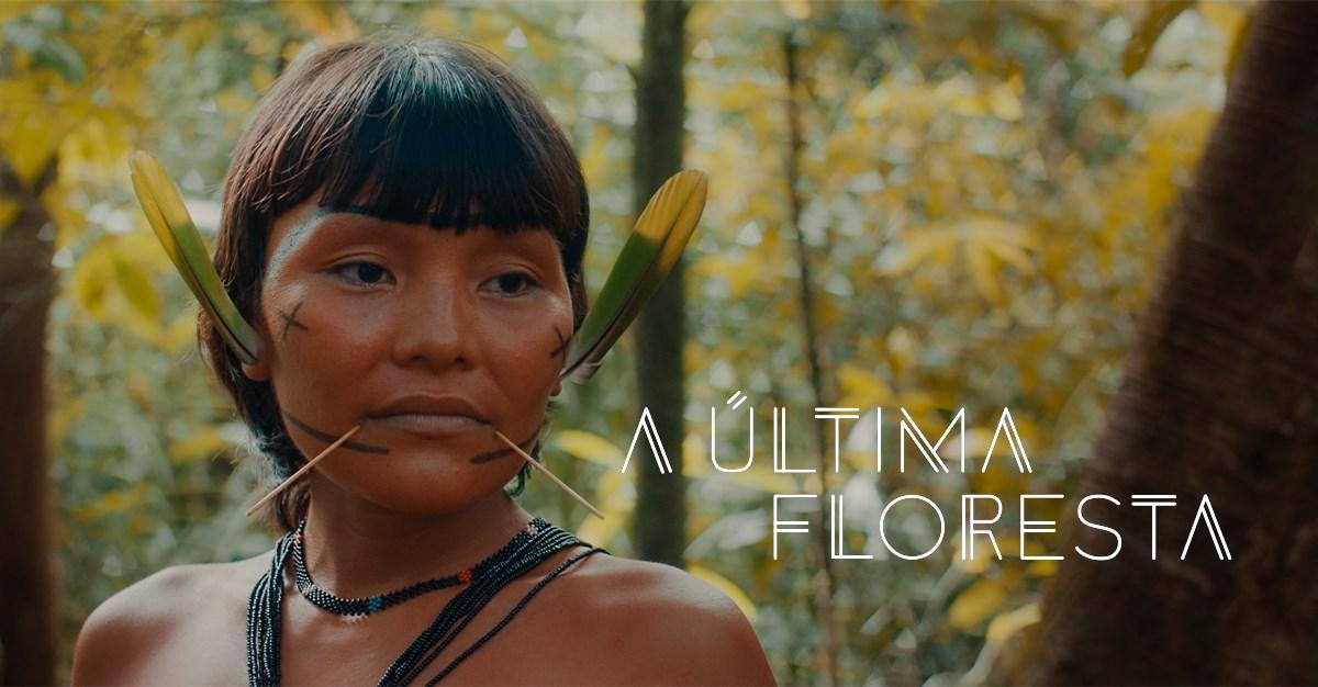 A Última Floresta