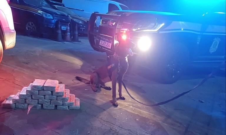 Droga apreendida em Altos