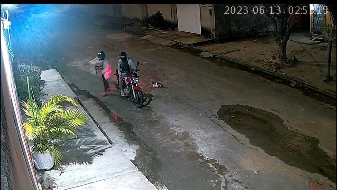 Casal abandona filhotes de cachorro em abrigo