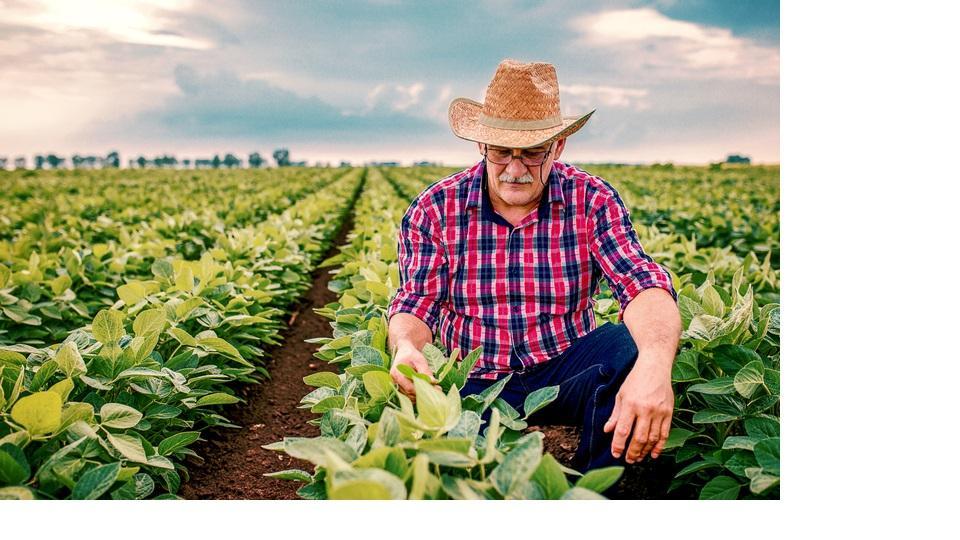 Agricultura