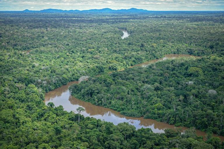 Floresta amazônica