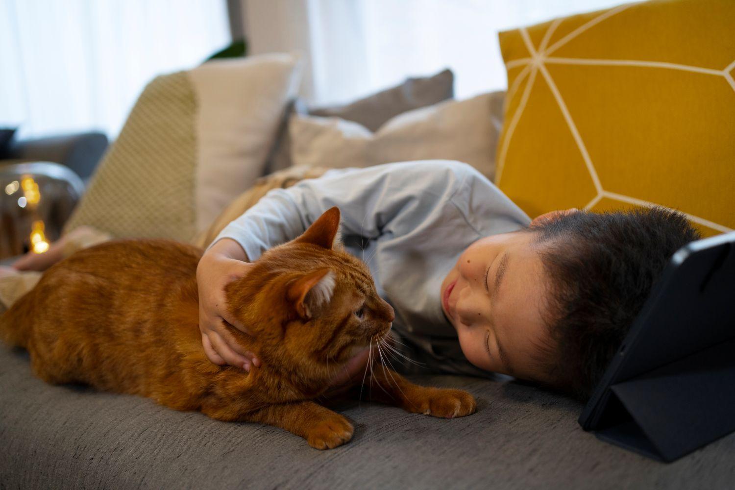 Animais de estimação em apartamentos exigem cuidados especiais