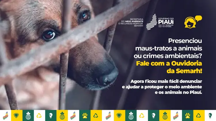 Semarh disponibiliza o número  (86) 98112-9958 para denúncias de maus-tratos