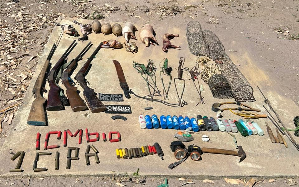 armas e animais ameaçados de extinção  abatidos são encontrados