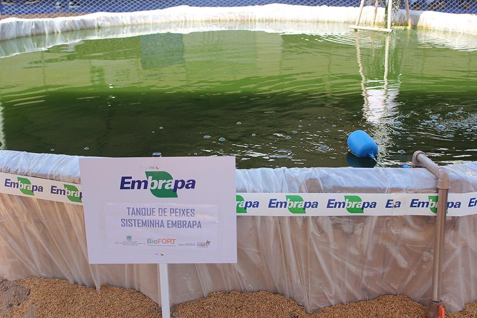 Sisteminha Embrapa