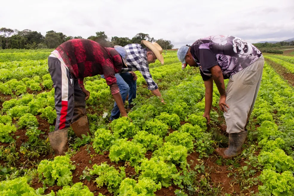 Chama pública atende ao Programa Nacional de Alimentação Escolar (PNAE)