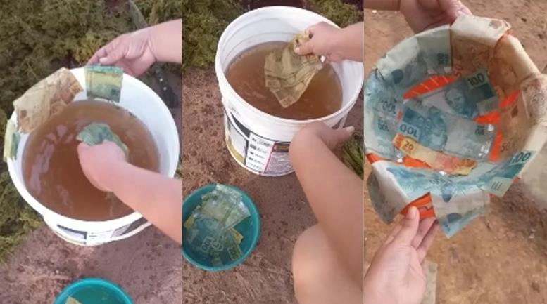 Boi engole R$ 1.500 e é abatido pelo dono