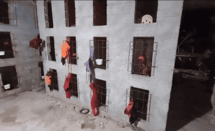 Aves presas em gaiolas apresentavam ferimentos
