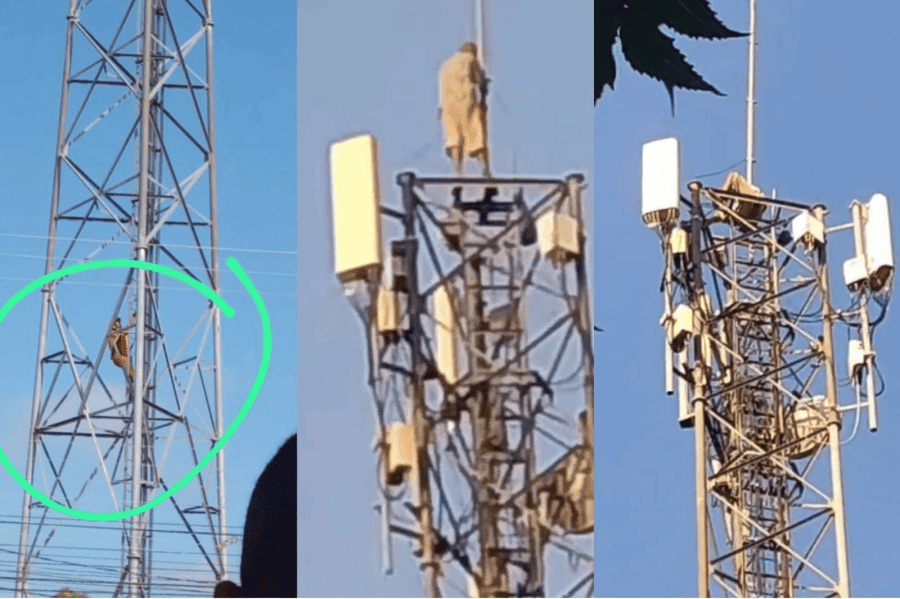 O homem passou 10 horas em cima da torre