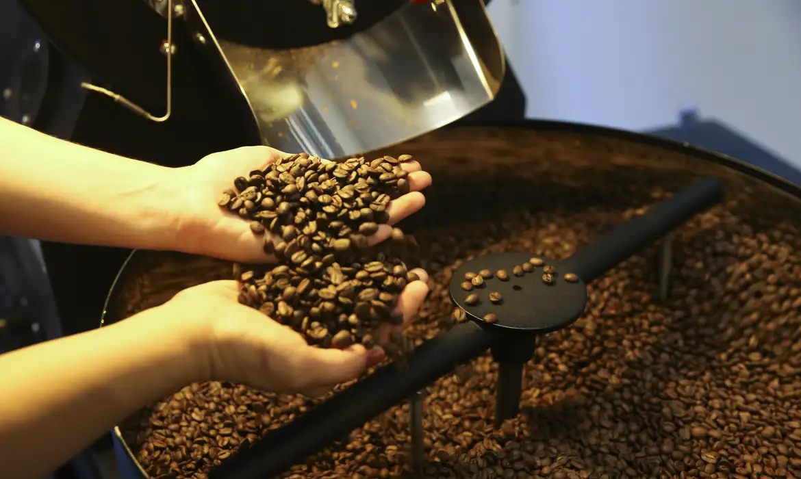 Preço do café pode continuar caindo em 2026