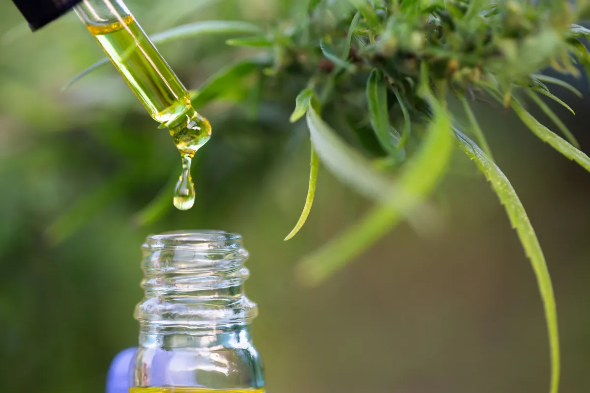 Cannabis Medicinal