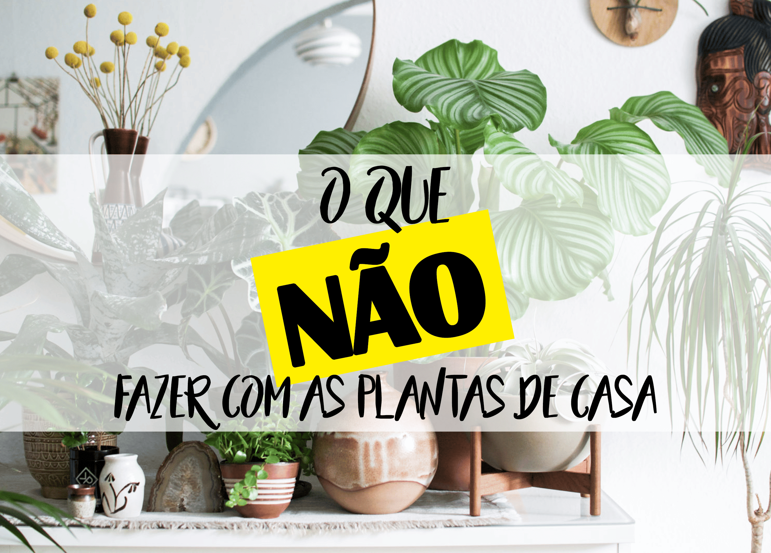 Fuja dos três maiores erros do paisagismo de interiores