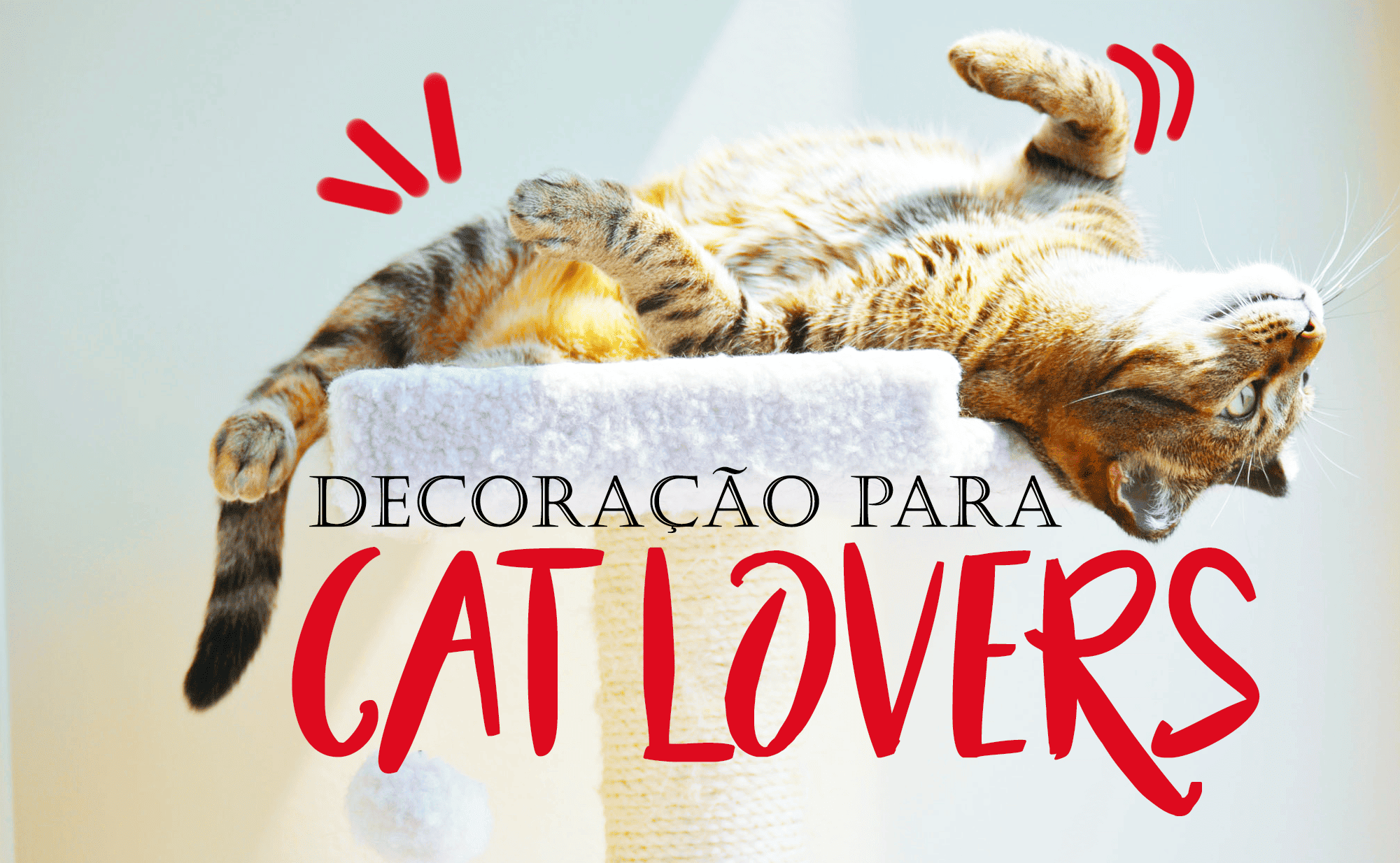 Conforto para você e seu gato