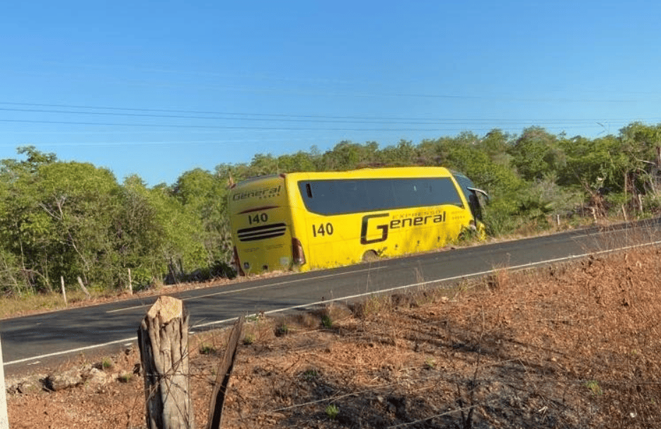 Motorista teria adormecido ao volante