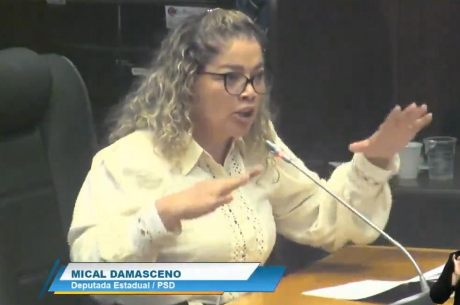 A deputada Mical Damasceno durante sessão na Alema