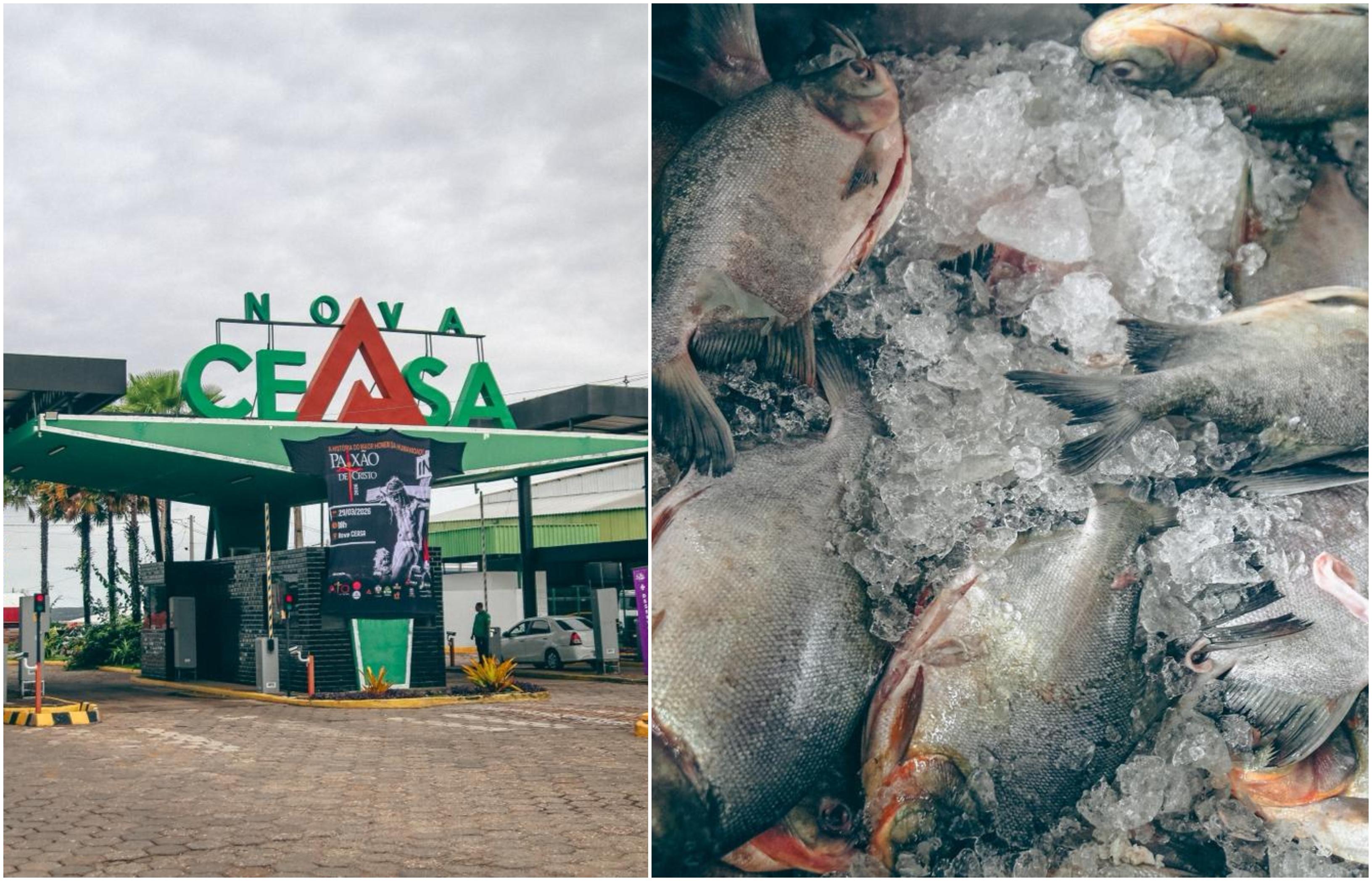 Peixe lidera vendas e movimento cresce na Ceasa com chegada da Semana Santa
