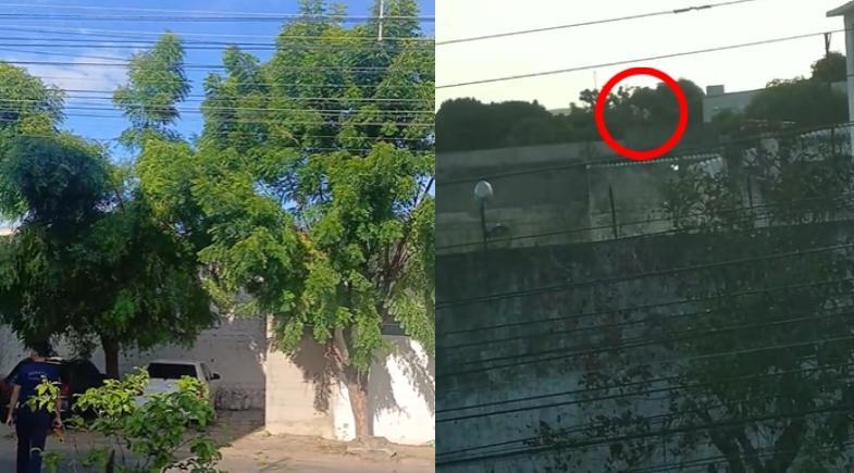 Internos do CEM tentam fugir e vizinhos registram a ação