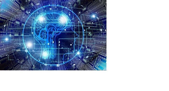 Cerebro