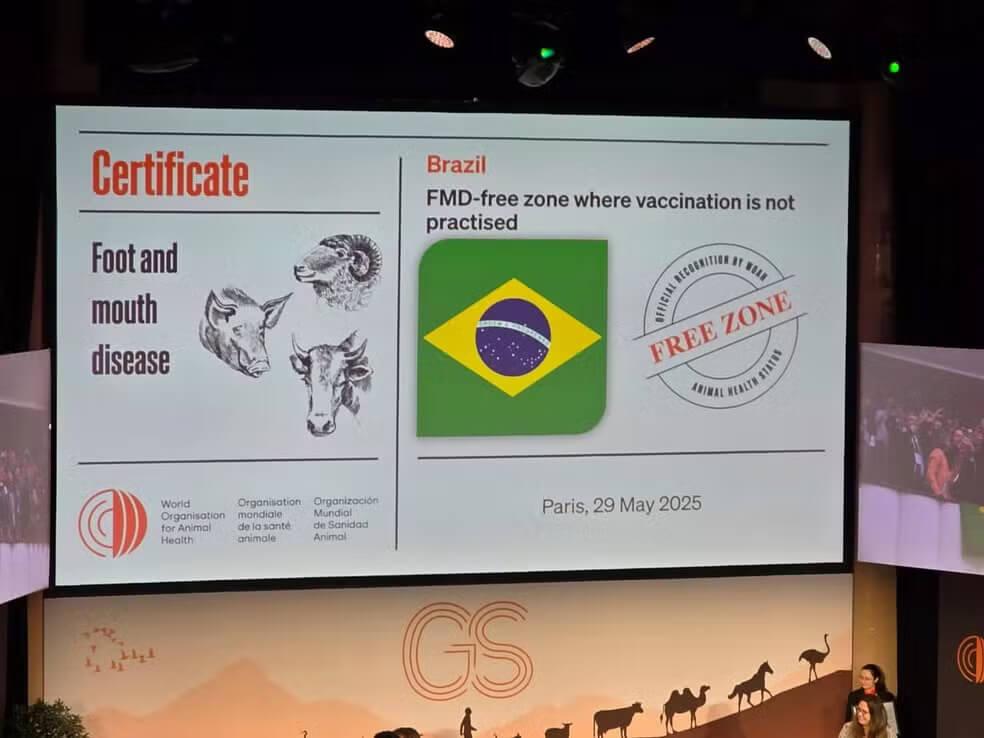Certificado da Organização Mundial de Saúde Animal