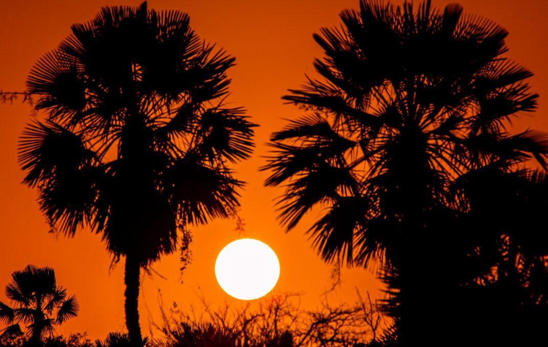 Nascer Do Sol em Parnaíba/PI