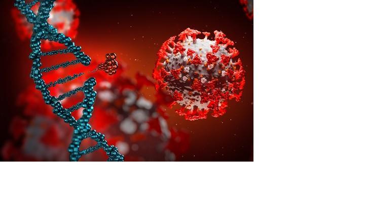 Coronavirus