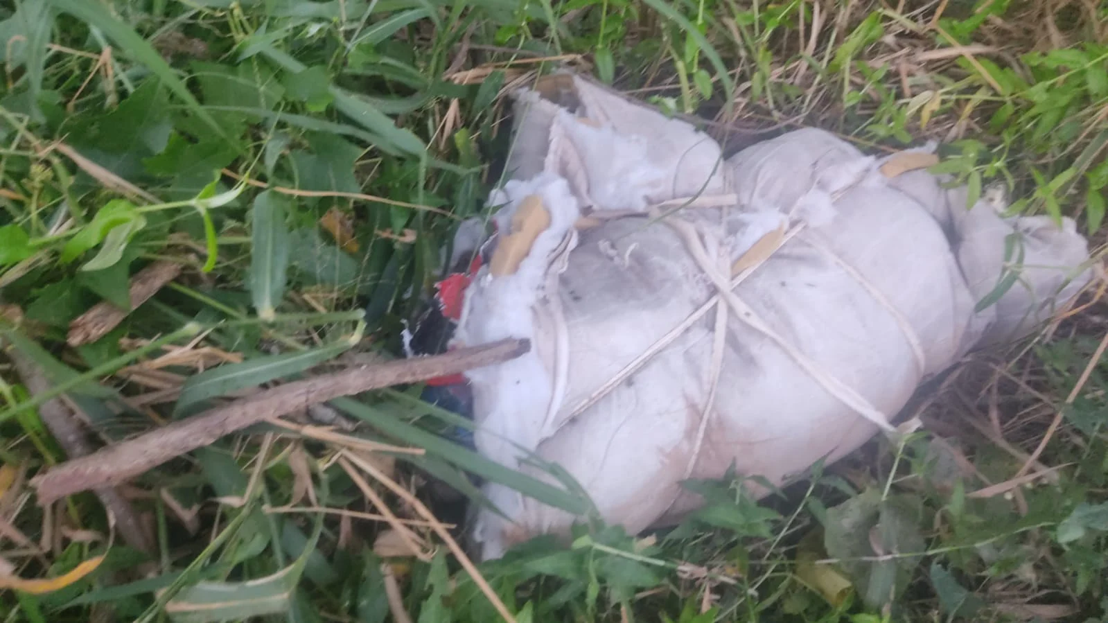 Corpo foi encontrado em avançado estado de putrefação